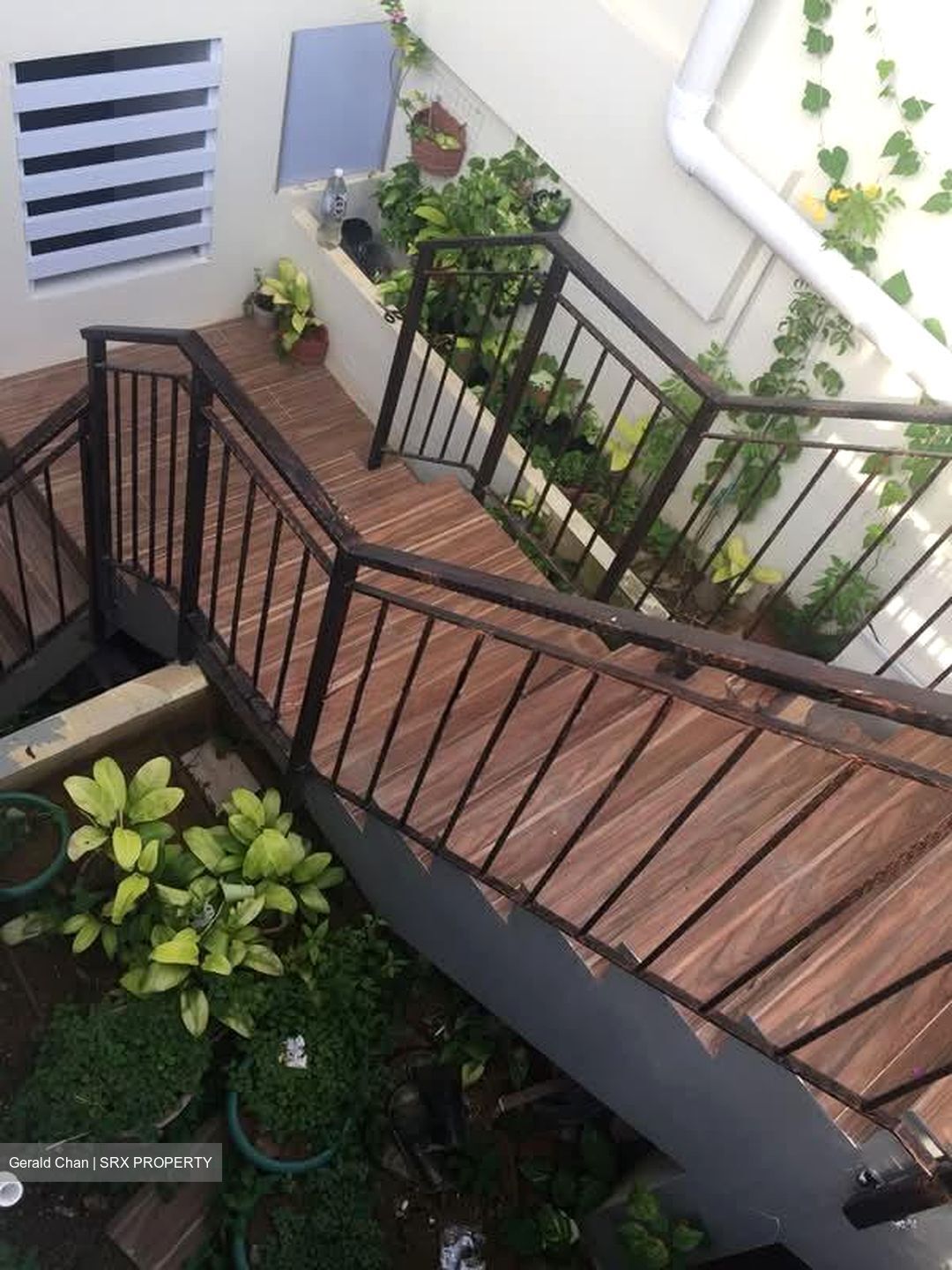 Nanyang Park (D19), Terrace #577229641